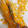 ☆おひろみ☆'s cooksnap of when they made 簡単☆とうもろこしのほぐし方.