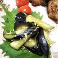 みぃくんのママ's cooksnap of when they made 茄子の香り浅漬け.