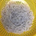 ピアノママ's cooksnap of when they made レンジで簡単☆こんにゃくの下ごしらえ.