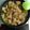 クックひで's cooksnap of when they made 圧力鍋で簡単♬ 豚の角煮.