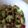 あ さ み's cooksnap of when they made ☆ゴーヤの梅和え☆.