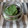 カクヨ's cooksnap of when they made しその保存法♪.