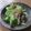 きらり流れ星's cooksnap of when they made 節約・早い・簡単！ツナの煮びたし.