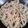 ぷいぷいルンルン's cooksnap of when they made 豆苗とツナの手抜きlunchパスタ♪.