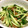 もとちゃ's cooksnap of when they made 納豆ときゅうりの簡単しそ梅和え.