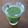 まことcafe's cooksnap of when they made 便秘に効く！皮ごとキウイスムージー.