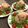 ♡てるてる♡'s cooksnap of when they made チーズとレタスの猫飯（ねこまんま）.