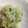 さおにゃんこ✨'s cooksnap of when they made ナムル風大根と胡瓜の酢の物.