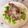ナピト's cooksnap of when they made 焼肉のたれで鷄もも焼き.