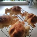 dangomuso's cooksnap of when they made 虫パン♪クワガタとカブトムシのパン.