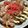 低カロ探検隊's cooksnap of when they made 【管理栄養士考案】キャベツのお好み焼き.