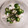 ももたももた's cooksnap of when they made 簡単作り置き！オクラと長芋の磯和え.