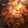 §ゆきっつぁん§'s cooksnap of when they made ＊圧力鍋で簡単！イカと大根の煮物＊.