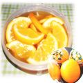 つくね's cooksnap of when they made はちみつでマイヤーレモンのシロップ漬け.