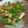 クックZ4AQ75☆'s cooksnap of when they made 超簡単！じゃが芋とピーマンガリマヨ炒め.