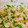 きゅる＊'s cooksnap of when they made うちのスタミナ納豆.