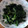 Eine♪Katze's cooksnap of when they made うちの定番☆シンプル青菜炒め.