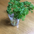 ☆こまっと☆'s cooksnap of when they made ☆パセリを長持ちさせよう～♪（保存法）.
