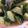 まなぴママ★'s cooksnap of when they made 胡瓜塩砂糖胡麻漬.