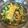 金魚のひらり's cooksnap of when they made ホルモンピリ辛味噌炒め.