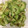 ぴろぴーろ24's cooksnap of when they made 苦くないゴーヤの浅漬け☆梅おかか.