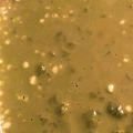 りんごぉぉぉ's cooksnap of when they made 青汁ういろう.