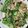 クック7FNN0F☆'s cooksnap of when they made 鯖とピーマンの炒め煮.