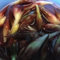 クックC2GECR☆'s cooksnap of when they made 華やかなピンクにビックリ！茗荷の甘酢漬け.