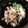 ようざん羊's cooksnap of when they made 牛肉と舞茸のガーリックバターライス.