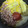 はるのりゅう's cooksnap of when they made トマトとコーンの洋風炊き込みご飯.