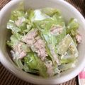 ののまま＠ずぼら's cooksnap of when they made 春キャベツのツナかつお節サラダ.