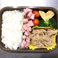 はんしょう07's cooksnap of when they made 超簡単！だし巻き玉子.