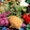 Kikuk0_66c's cooksnap of when they made キヌアと牛蒡とさつま芋のヘルシーサラダ✿.