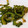 クックY151A☆'s cooksnap of when they made おつまみに！ゴーヤの素揚げ.