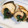食いしん坊あー's cooksnap of when they made アジの梅シソ巻.