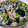 クック6DDPP8☆'s cooksnap of when they made カニカマとキュウリとワカメの酢の物.