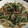 クック2H9MD0☆'s cooksnap of when they made 焼豚とニラ・もやしの簡単炒め♪.