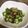 みりん調味料's cooksnap of when they made オクラを生で.