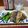ダイナマイト漆黒's cooksnap of when they made ✿秋刀魚のかんたん生姜焼✿.