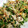 tamama1102's cooksnap of when they made 豚コマと豆苗のオイマヨ炒め.