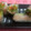 あいあいばんび's cooksnap of when they made 我が家の定番♪生春巻き.