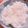 あさちゃんべんとう's cooksnap of when they made ダイエット効果☆話題のしらたきご飯！.