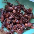 チョコ星人。's cooksnap of when they made ほたるいかの佃煮.