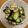 ミックエムスリー's cooksnap of when they made なすと塩昆布の浅漬け.