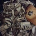 ルルルるか☆'s cooksnap of when they made かんたんきのこ炒め ピリ辛 つくりおき.