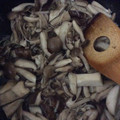 ルルルるか☆'s cooksnap of when they made かんたんきのこ炒め ピリ辛 つくりおき.