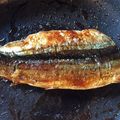 ★ここなつ★'s cooksnap of when they made 秋刀魚の蒲焼.