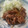 aiai☆'s cooksnap of when they made 簡単、しょうが焼き.
