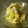 mamanotama's cooksnap of when they made そうめん南瓜とキュウリの、マヨネーズ和え.