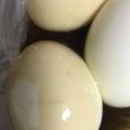 ma___111's cooksnap of when they made やみつき！ピリッと辛い味付け卵！.